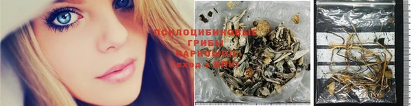 соль ск Верхний Тагил