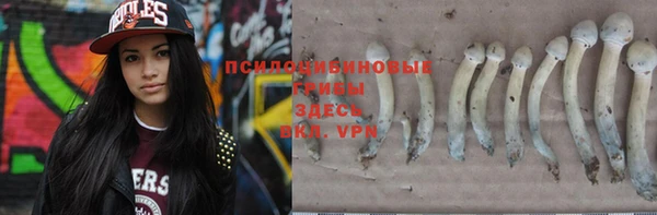 соль ск Верхний Тагил