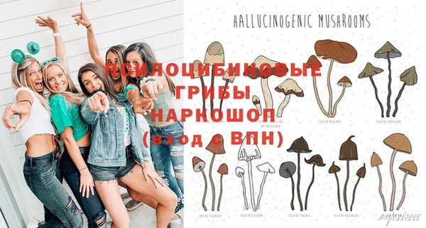 соль ск Верхний Тагил