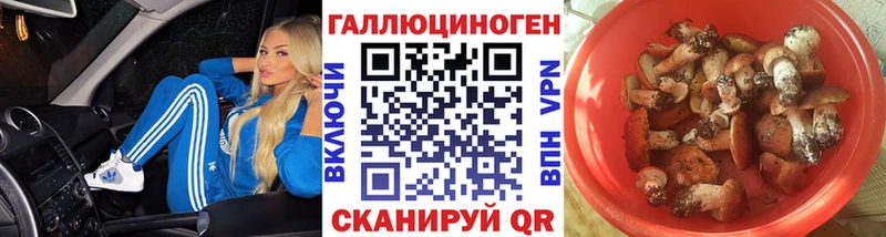 Псилоцибиновые грибы прущие грибы Камень-на-Оби