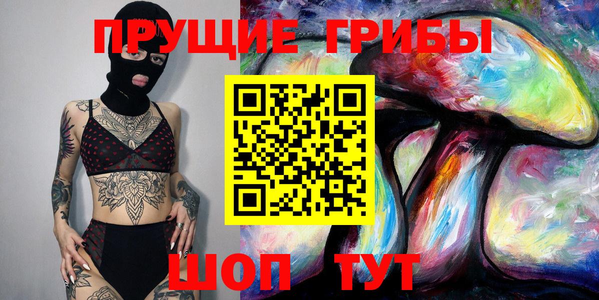 Галлюциногенные грибы Psilocybe  Вход с VPN  Камень-на-Оби 