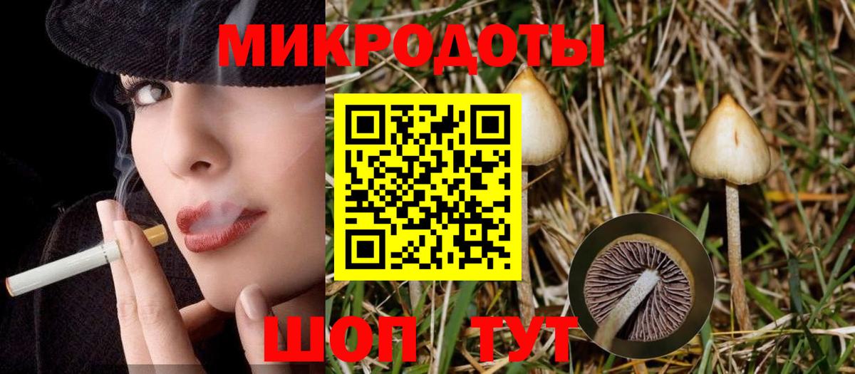 А ПВП Камень-на-Оби